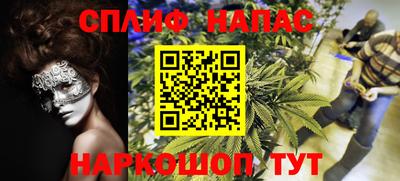 молекула духа Пенза