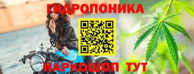 молекула духа Пенза