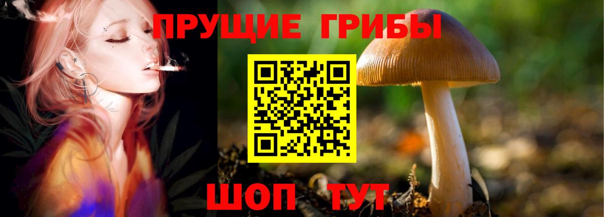 Скопин  купить закладку  Псилоцибиновые грибы Cubensis  Вход с VPN  Галлюциногенные грибы Psilocybe 